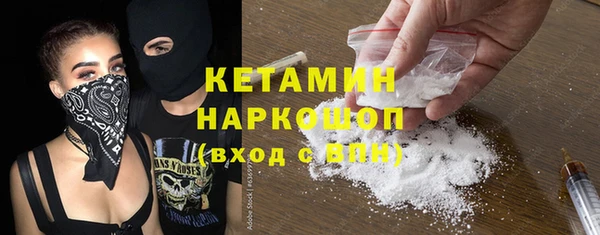 сатива Сясьстрой
